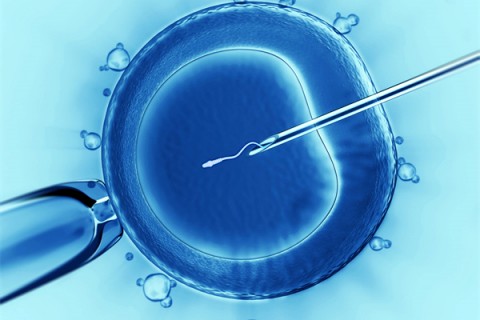 http://fuzhou.vdtfzz.com/post/198.html|福州代生助孕