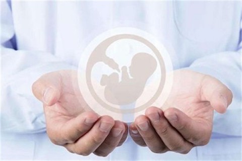 http://fuzhou.vdtfzz.com/post/214.html|福州人工试管